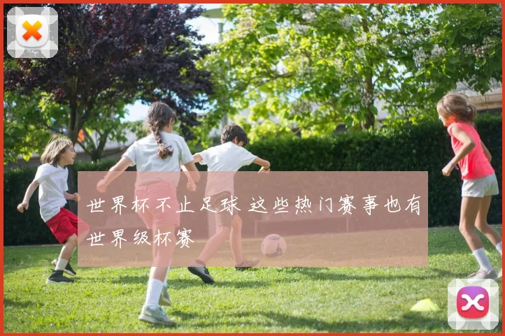 世界杯不止足球 这些热门赛事也有世界级杯赛
