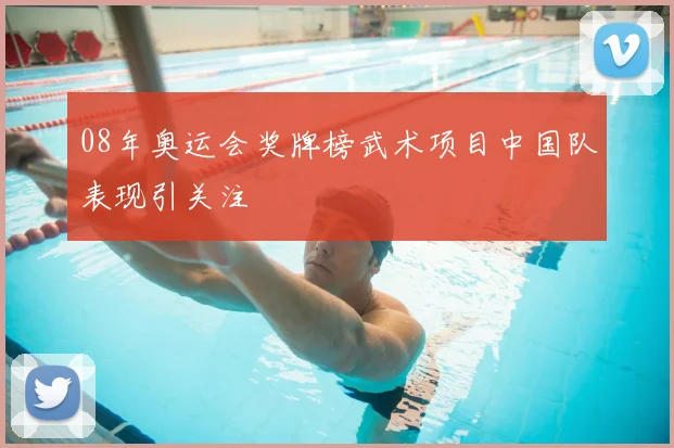 08年奥运会奖牌榜武术项目中国队表现引关注