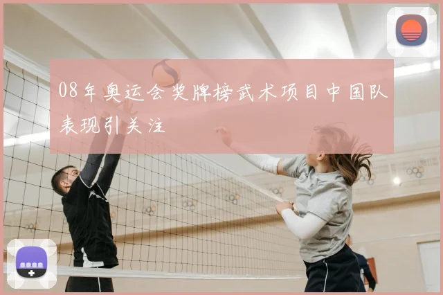 08年奥运会奖牌榜武术项目中国队表现引关注